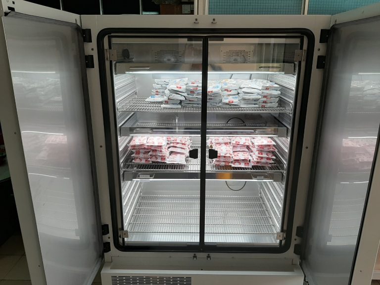 Đánh giá hạn sử dụng của sản phẩm Mì gói với Tủ vi khí hậu Binder